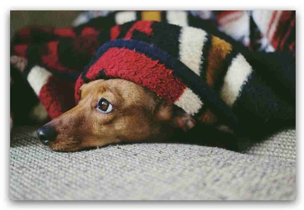 日本電熱毯是冬天溫暖被窩的好夥伴
